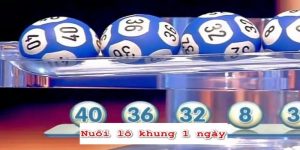 Nuôi lô khung 1 ngày được nhiều người lựa chọn